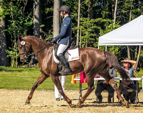 D’Orites SSF (Donatelli x Jazz)