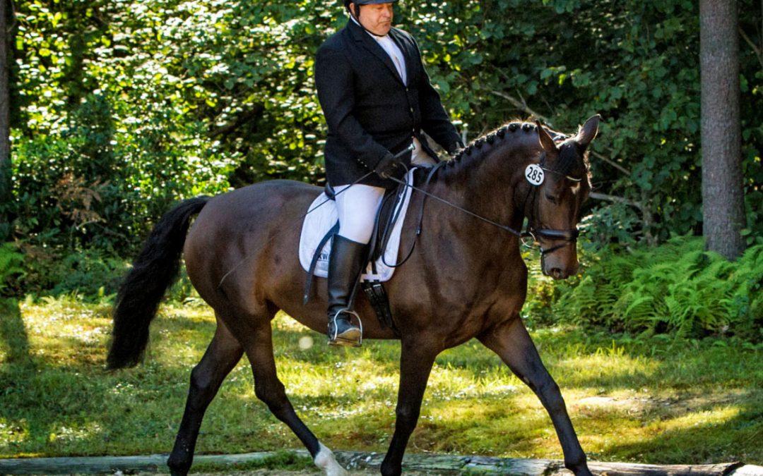 ZaVita SSF (Contango x Elcaro)