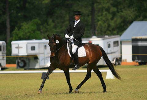 Werites SSF (Freestyle x Jazz)