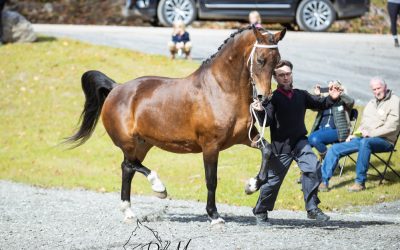 Emaldine (Atleet x Manno)