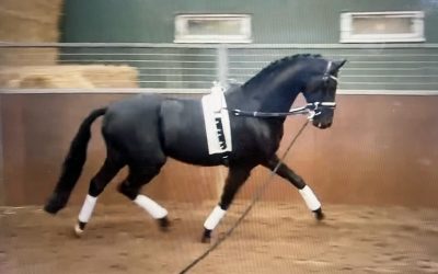 Nadal SSF Lunging Presentation