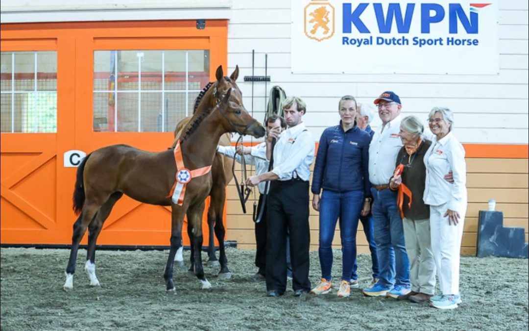 BoWendy (Sir Sinclair x Jazz)