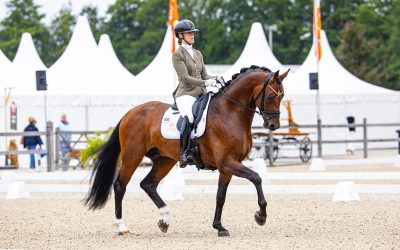 Dispersal sale at Shooting Star Farm